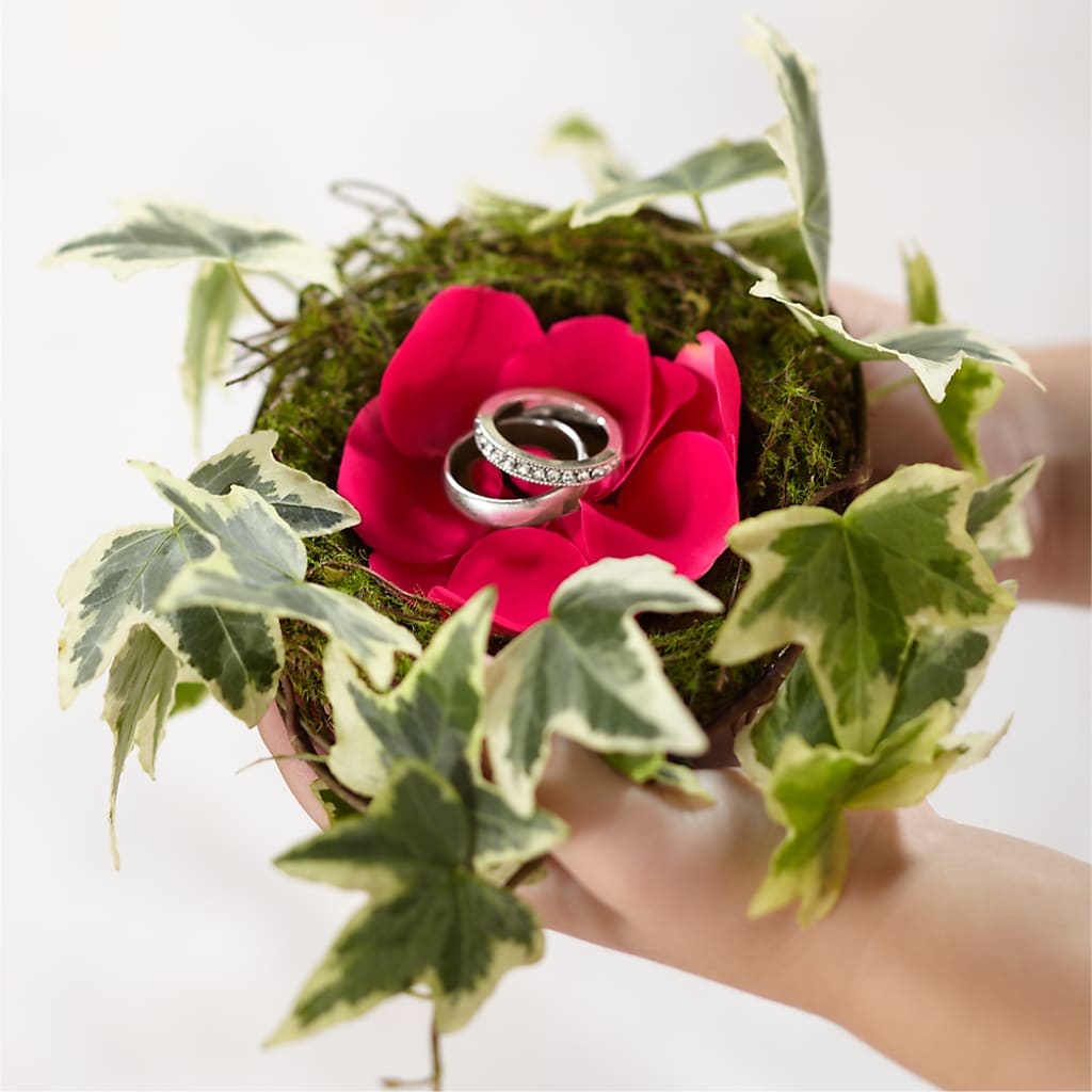 Lila Rose Ring Nest – BERMAN'S FLOWERS, Kingsburg CA