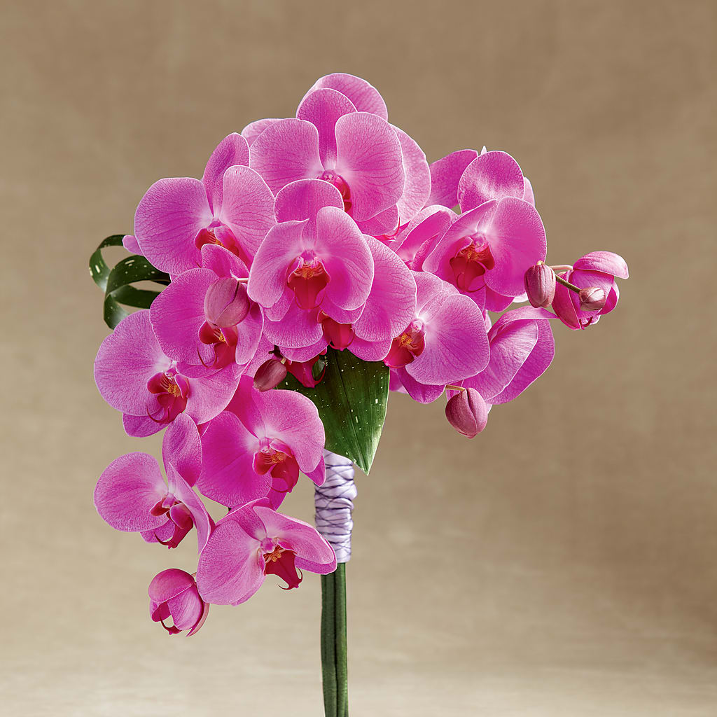 Glorious Bouquet – BERMAN'S FLOWERS, Kingsburg CA