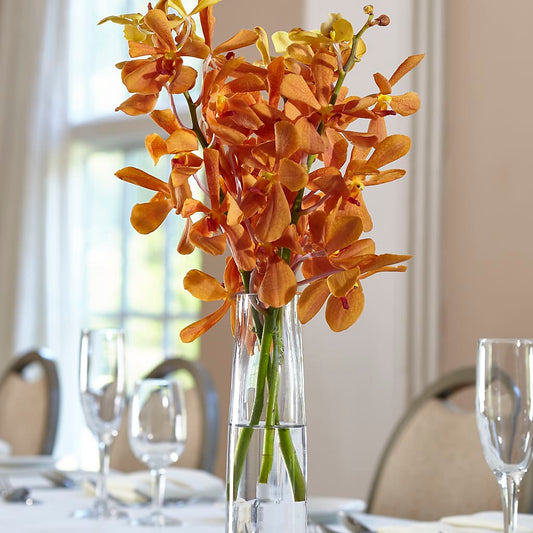 Orange Mokara Bud Vase – BERMAN'S FLOWERS, Kingsburg CA