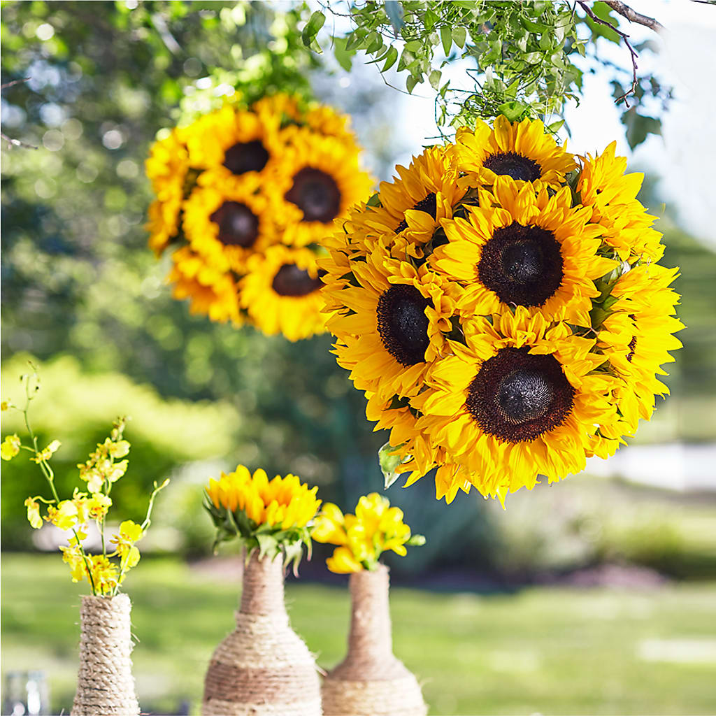 Sublime Garden Hanging Arrangement – BERMAN'S FLOWERS, Kingsburg CA