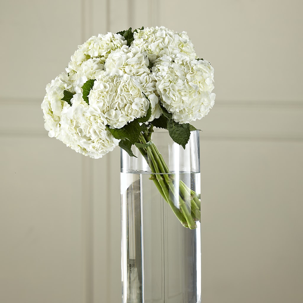 White Hydrangea Hand-Tied Bouquet – BERMAN'S FLOWERS, Kingsburg CA