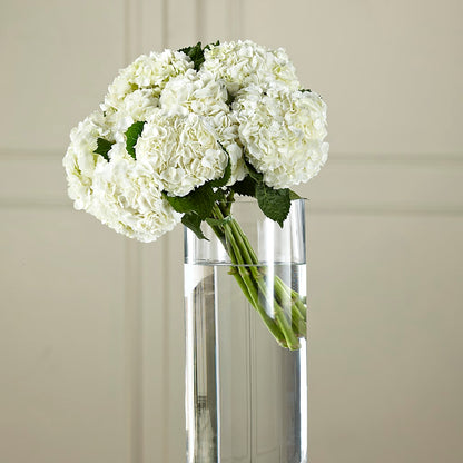 White Hydrangea Hand-Tied Bouquet – BERMAN'S FLOWERS, Kingsburg CA