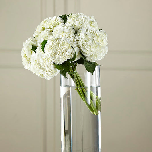 White Hydrangea Hand-Tied Bouquet – BERMAN'S FLOWERS, Kingsburg CA