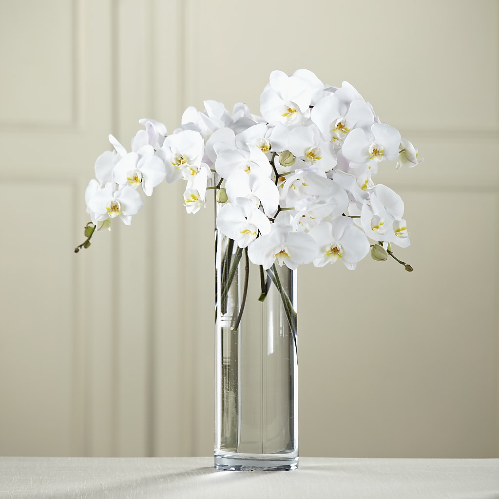 White Phalaenopsis Bouquet – BERMAN'S FLOWERS, Kingsburg CA