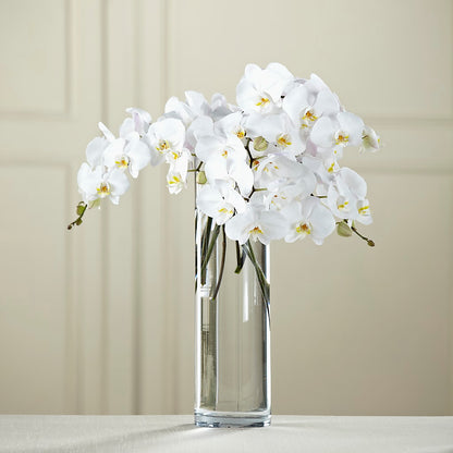 White Phalaenopsis Bouquet – BERMAN'S FLOWERS, Kingsburg CA