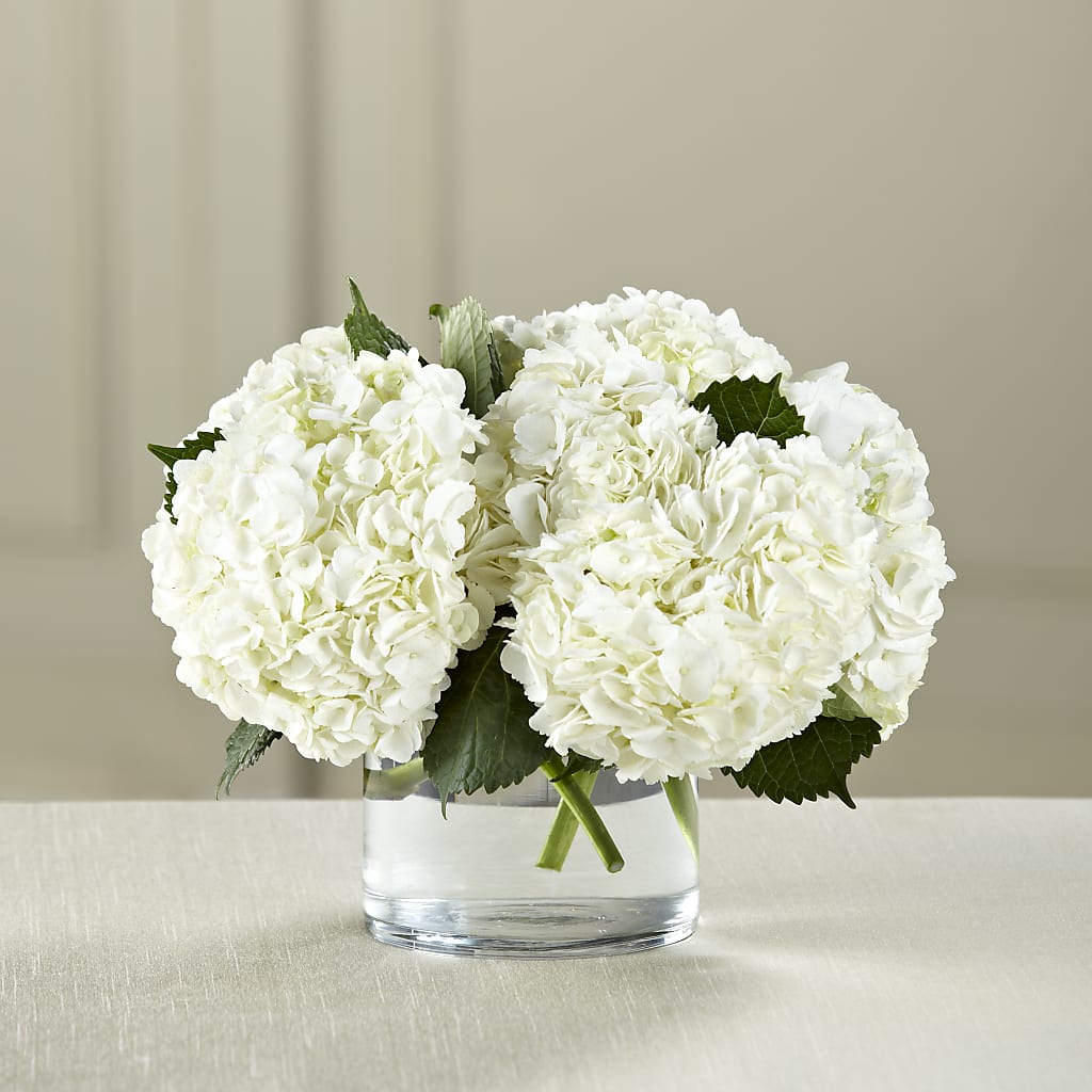 White Hydrangea Bouquet – BERMAN'S FLOWERS, Kingsburg CA