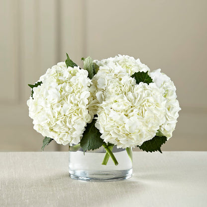 White Hydrangea Bouquet – BERMAN'S FLOWERS, Kingsburg CA